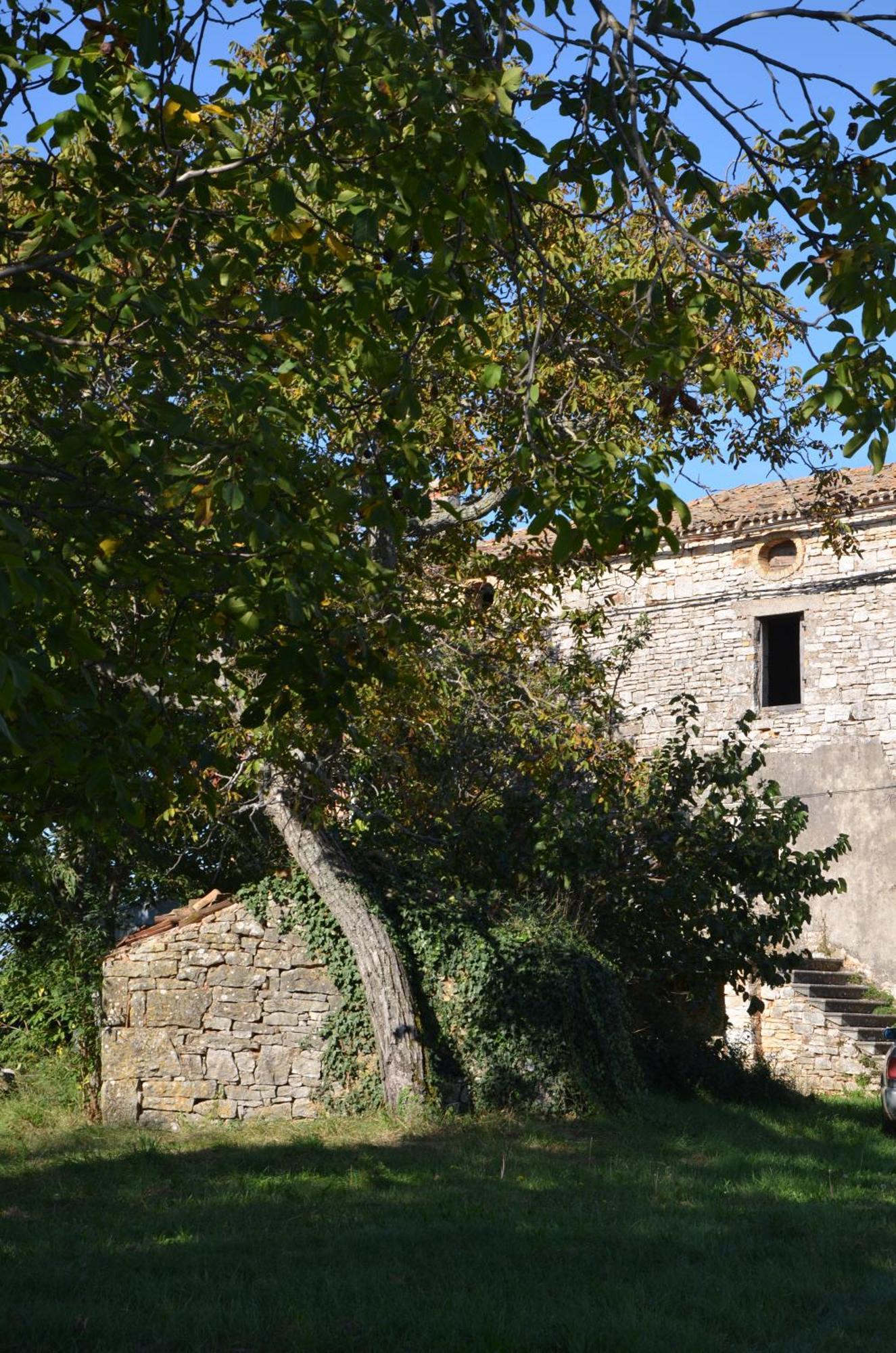 Villa Olivetta By Istrian Country Houses Barat  Exterior photo