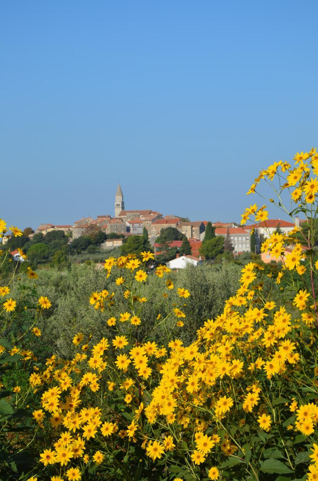 Villa Olivetta By Istrian Country Houses Barat  Exterior photo